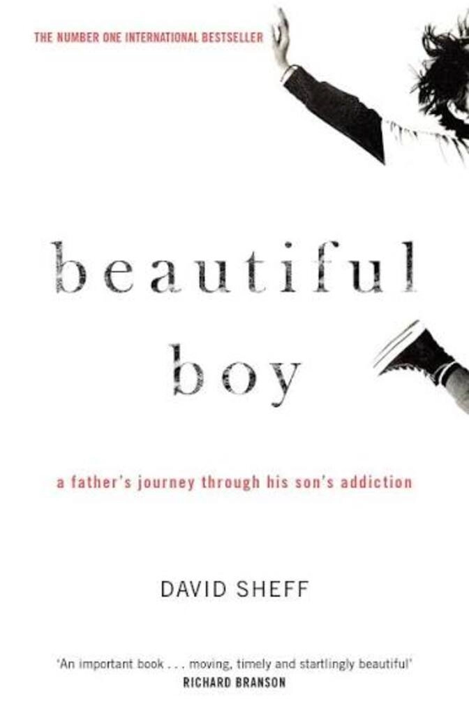beautiful boy (used , paper back , good condition)
