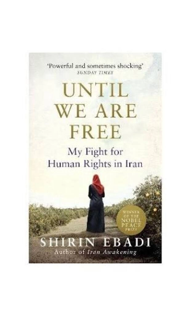 until we are free (used,paper back, good condition)