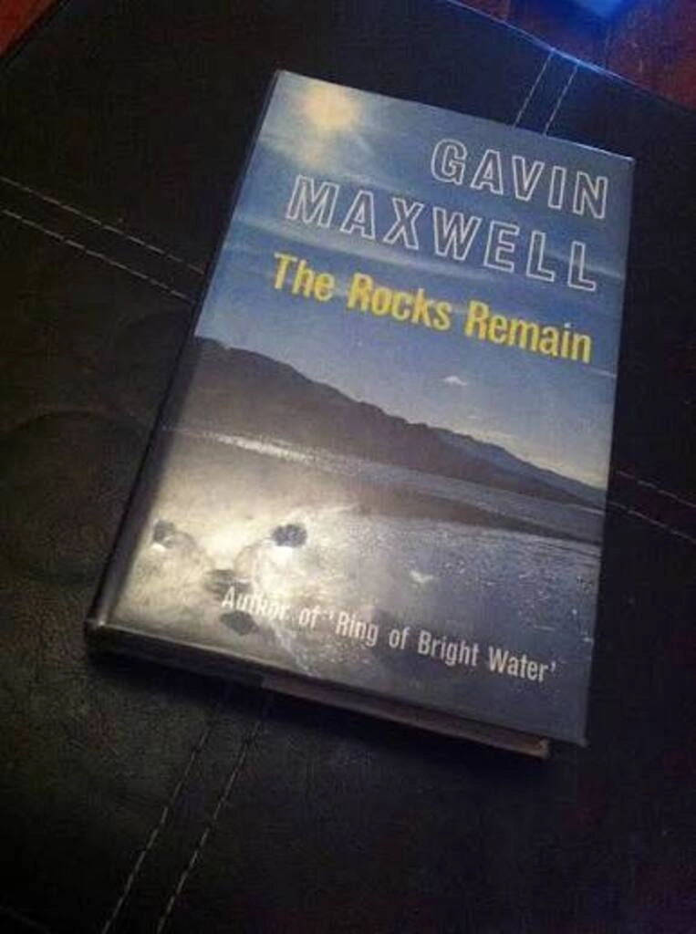 The rocks remain (used,hard cover,good condition)