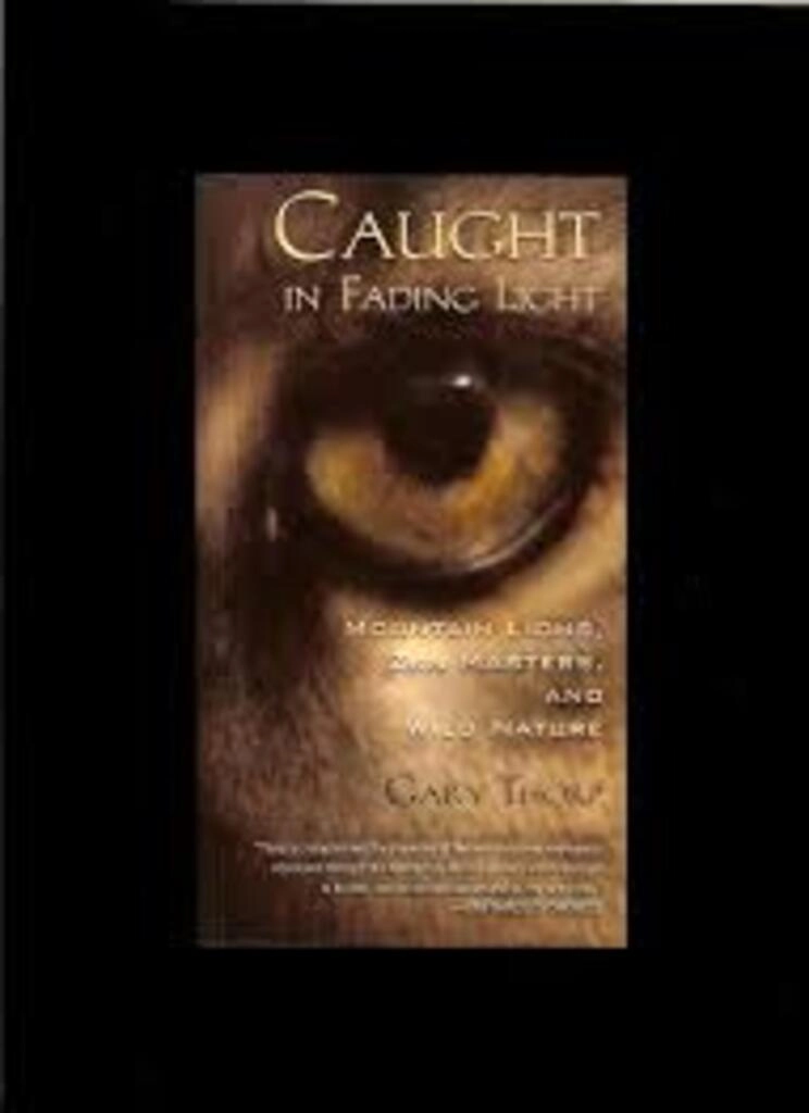 caught in fading light (used,paper back, good condition)