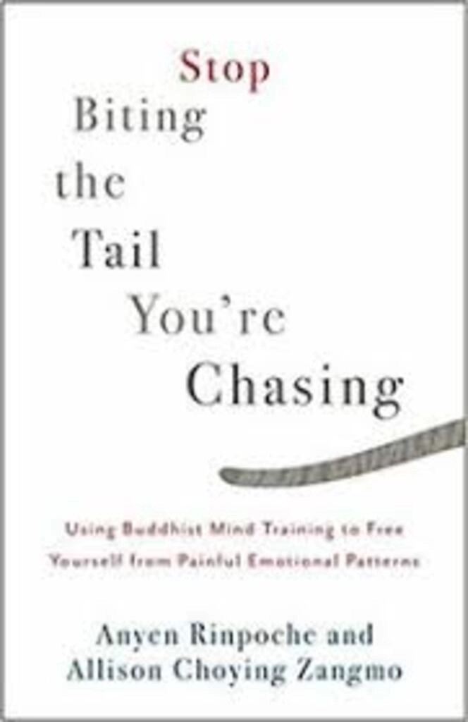 stop biting the tail you're chasing (used,paper back, good condition)