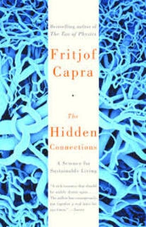 The Hidden Connections (used, good condition)
