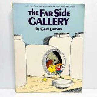 The Far Side Gallery (used, good condition)
