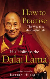 How to Practise The Way to a Meaningful Life ( used, good condition )