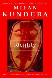 Identity: A Novel (used, paper back, good condition)