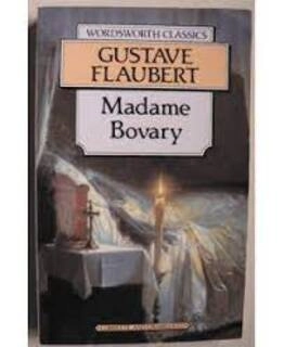 Madame Bovary (used, paperback, good condition)