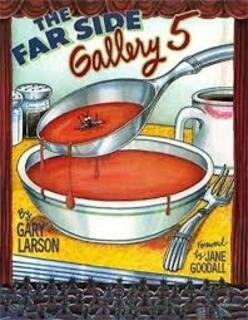 The Far Side Gallery 5 (used, paperback, good condition)