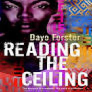 Reading The Ceiling (used, paperback, good condition)