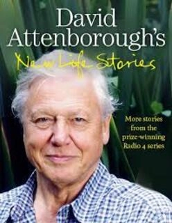 New Life Stories (used, hardcover, good condition)