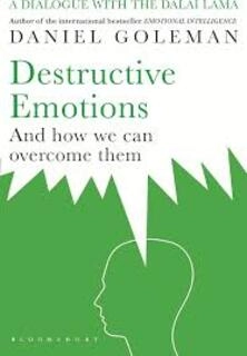 Destructive Emotions: And How We can Overcome Them (used, paperback, very good condition)