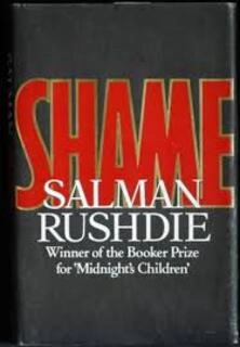 Shame (used, hardcover, good condition)