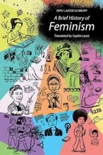 A Brief History Of Feminism (used, hardcover, good condition)