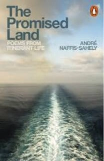 The Promised Land (used, paperback, very good condition)
