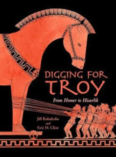Digging for Troy (used, hardcover, good condition)