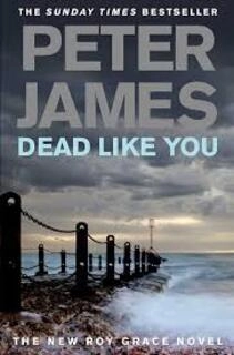 Dead Like You (used, paperback, good condition)