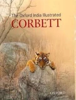 The Oxford Illustrated (used, paperback, good condition