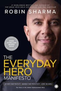 The Everyday Hero (used, paperback, good condition)