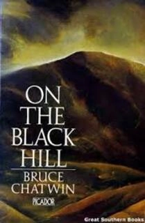 On The Black Hill (used, paperback, good condition)