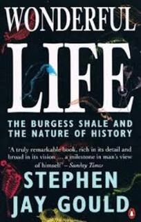 Wonderful Life (used, paperback, good condition)
