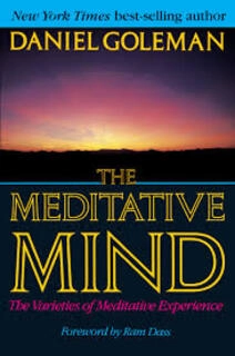 The Meditative Mind (used, paperback, good condition)