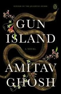 Gun Island (used, hardcover, good condition)