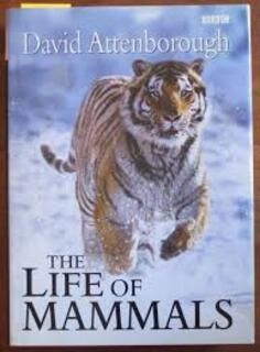 The Life Of Mammals (used, paperback, good condition)