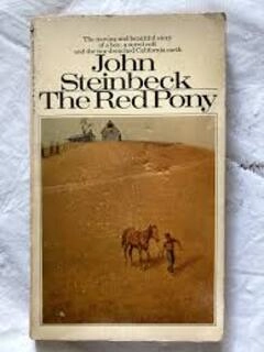 The Red Pony (used, paperback, good condition)