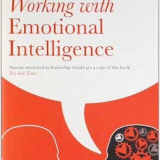Working With Emotional Intelligence 9used, paperback, good condition)