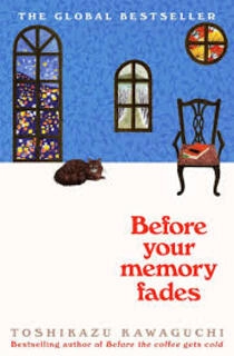 Before Your Memory Fades (used, paperback, good condition)