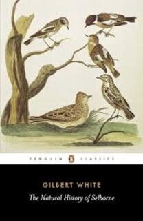 The Natural History Of Selborne (used, paperback, good condition)