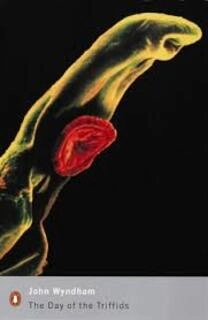 The Day Of The Triffids (used, paperback, good condition)