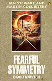 FEARFUL SYMMETRY (used, paperback , good condition)