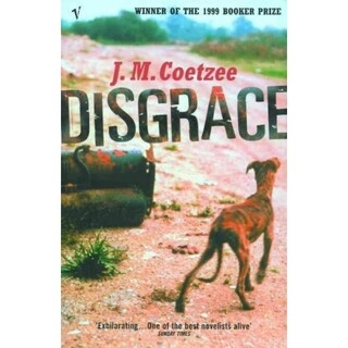 Disgrace ( used, good condition, paperback )