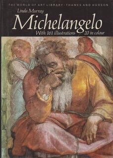 Michelangelo (paperback, used, good condition)