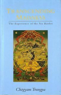Transcending Madness (used,paper cover, good condition)