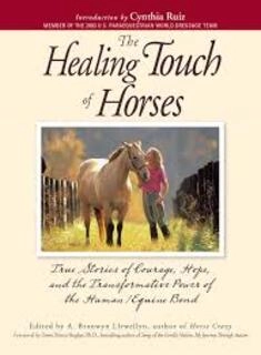 The Healing Touch of Horses (used, paper back, good condition)