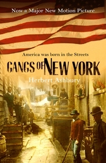The Gangs of New York (used, paper back, good condition)