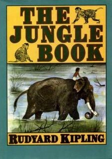 The Jungle Book (used,hard cover, good condition)