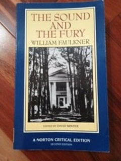 The Sound And The Fury (used, paper back, good condition)