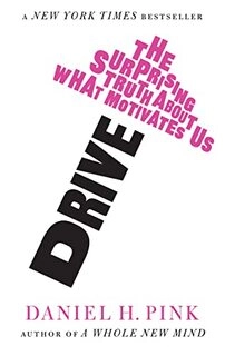 Drive the Surprising Truth About what motivates us (used,paper back,good condition)