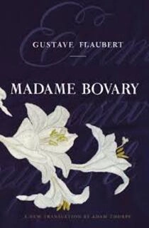 Madame Bovary (used,hard cover,good condition)