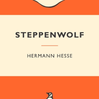 Steppenwolf (used,paper back,good condition)