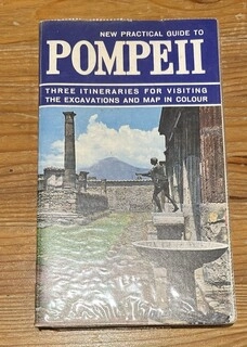 PompeII (used,paper back,good condition)