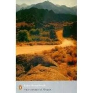 The Grapes of Wrath (used, paper back, good condition)