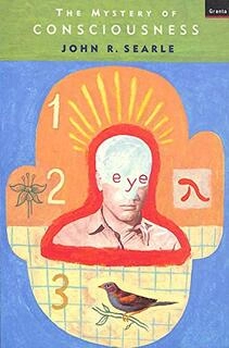The Mystery Of Consciousness (used, paperback, good condition)