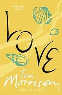 Love (used,paper back,good condition)
