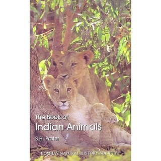 The book of India Animals (used,hard cover, good condition)
