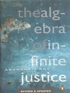 the algebra of in finite justice (used,paper back,good condition)