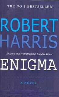 Enigma: A Novel (paperback, used, good condition)