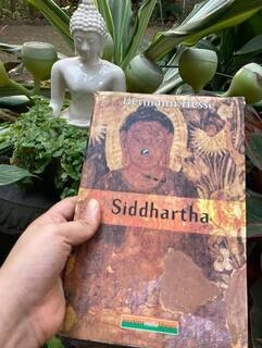 Siddhartha (used, hardcover, good condition)